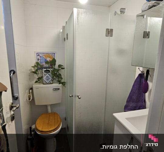 מקלחון זכוכית בחדר אמבטיה עם כיור ושירותים